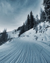 Fondo de pantalla Winter Road 176x220