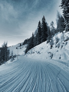 Winter Road wallpaper 240x320