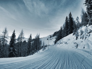 Winter Road screenshot #1 320x240
