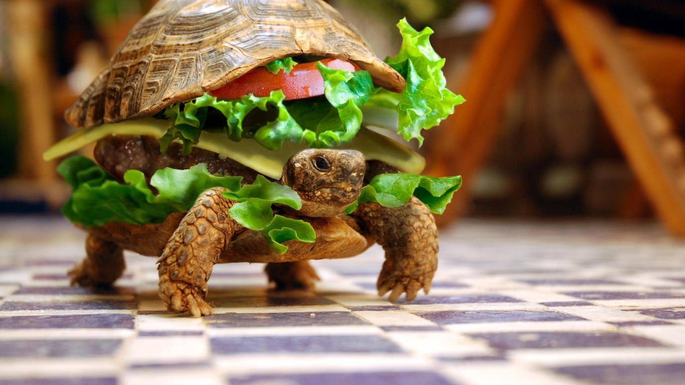 Das Turtle Burger Wallpaper 1366x768