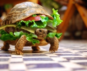 Das Turtle Burger Wallpaper 176x144