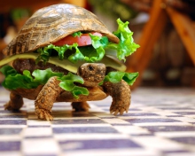 Das Turtle Burger Wallpaper 220x176