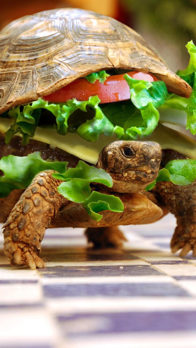 Обои Turtle Burger 640x1136