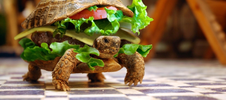 Turtle Burger wallpaper 720x320