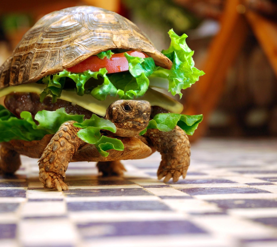 Turtle Burger wallpaper 960x854