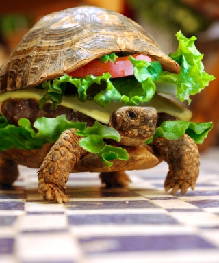 Turtle Burger - Obrázkek zdarma pro Nokia Asha 308