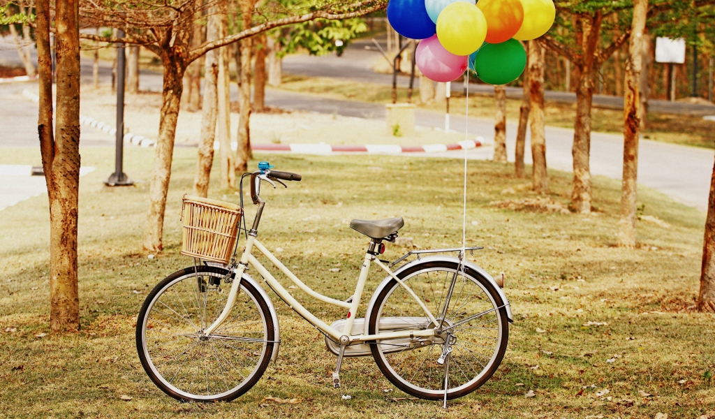 Party Bicycle wallpaper 1024x600