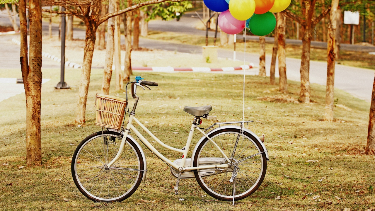 Party Bicycle wallpaper 1280x720