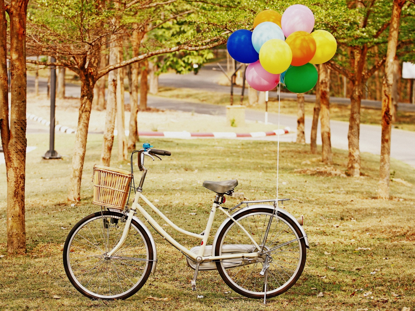 Party Bicycle wallpaper 1400x1050