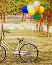 Party Bicycle wallpaper 176x220
