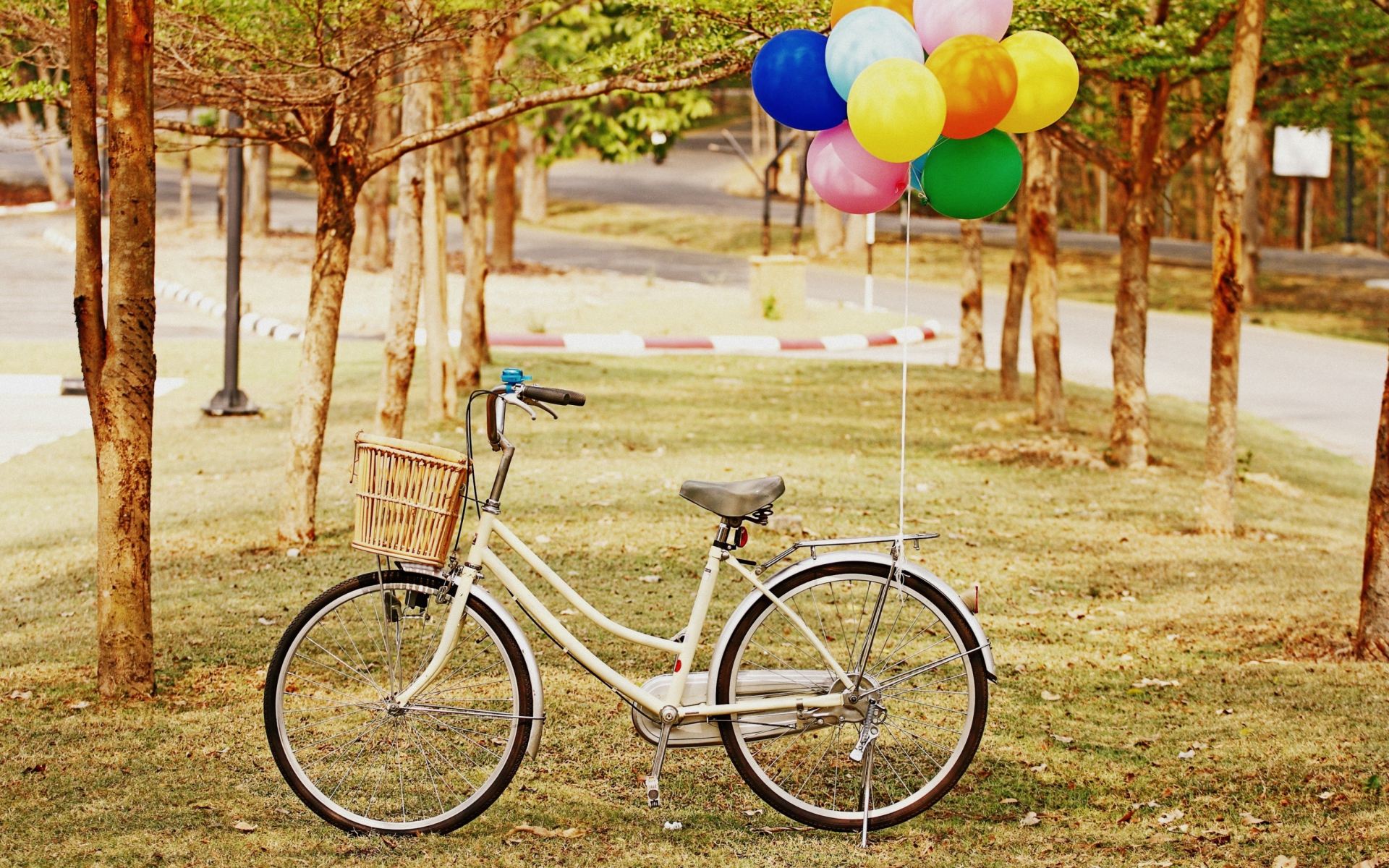 Party Bicycle wallpaper 1920x1200