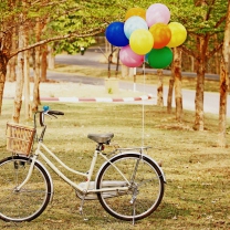 Обои Party Bicycle 208x208