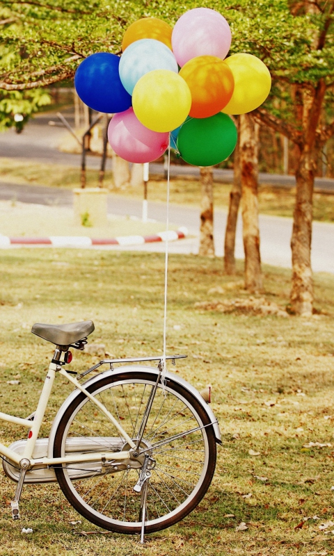 Party Bicycle wallpaper 480x800