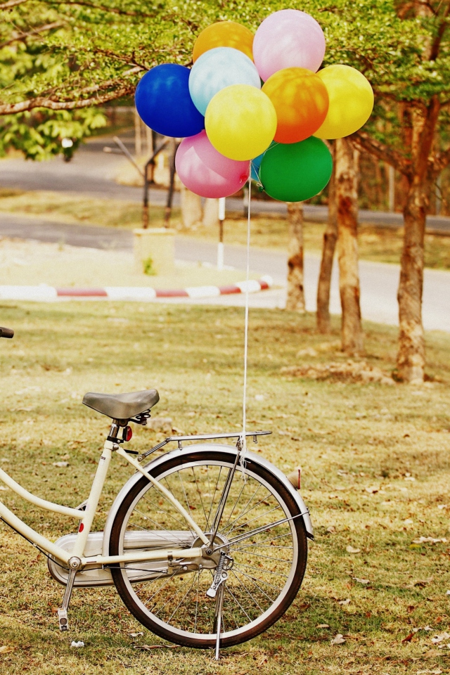 Party Bicycle wallpaper 640x960