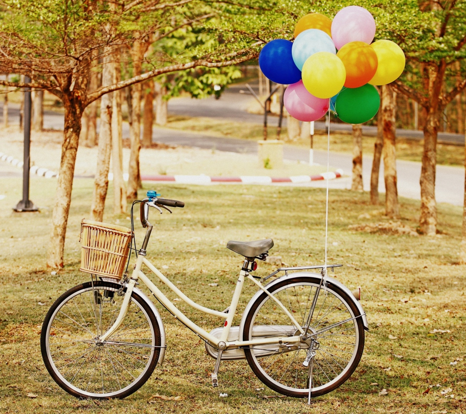 Party Bicycle wallpaper 960x854