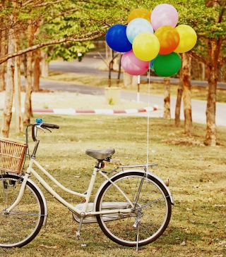 Free Party Bicycle Picture for 240x320