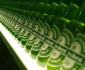 Heineken Beer wallpaper 176x144