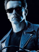 Terminator wallpaper 132x176