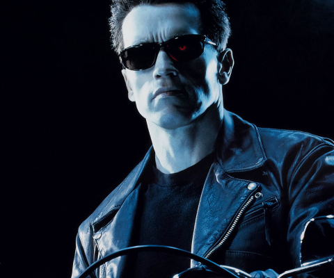 Screenshot №1 pro téma Terminator 480x400