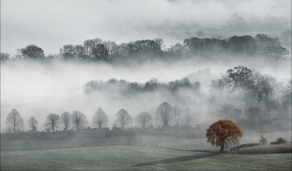 Fog In England wallpaper 1024x600