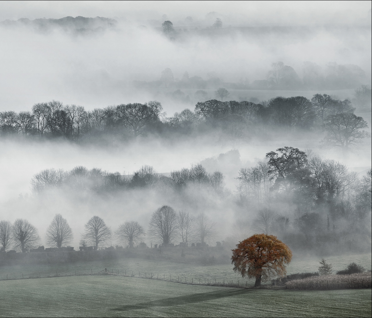 Fondo de pantalla Fog In England 1200x1024