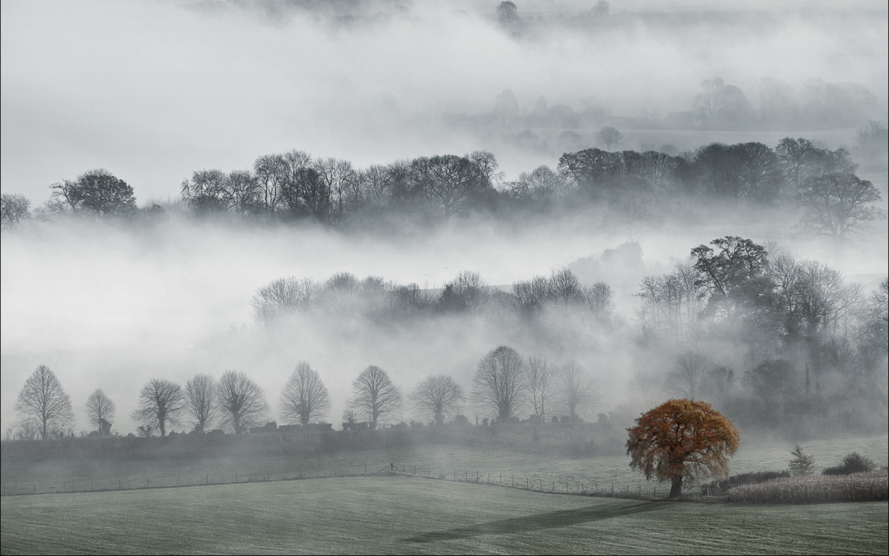 Das Fog In England Wallpaper 1280x800