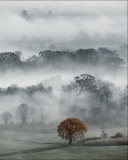 Fondo de pantalla Fog In England 128x160