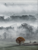 Fondo de pantalla Fog In England 132x176