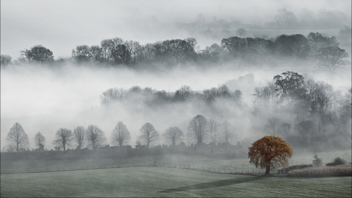 Fondo de pantalla Fog In England 1366x768