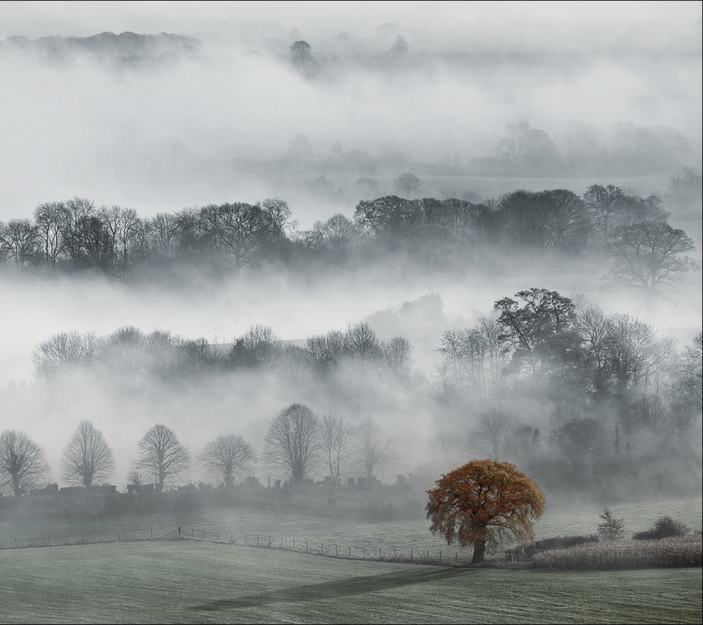 Fondo de pantalla Fog In England 1440x1280