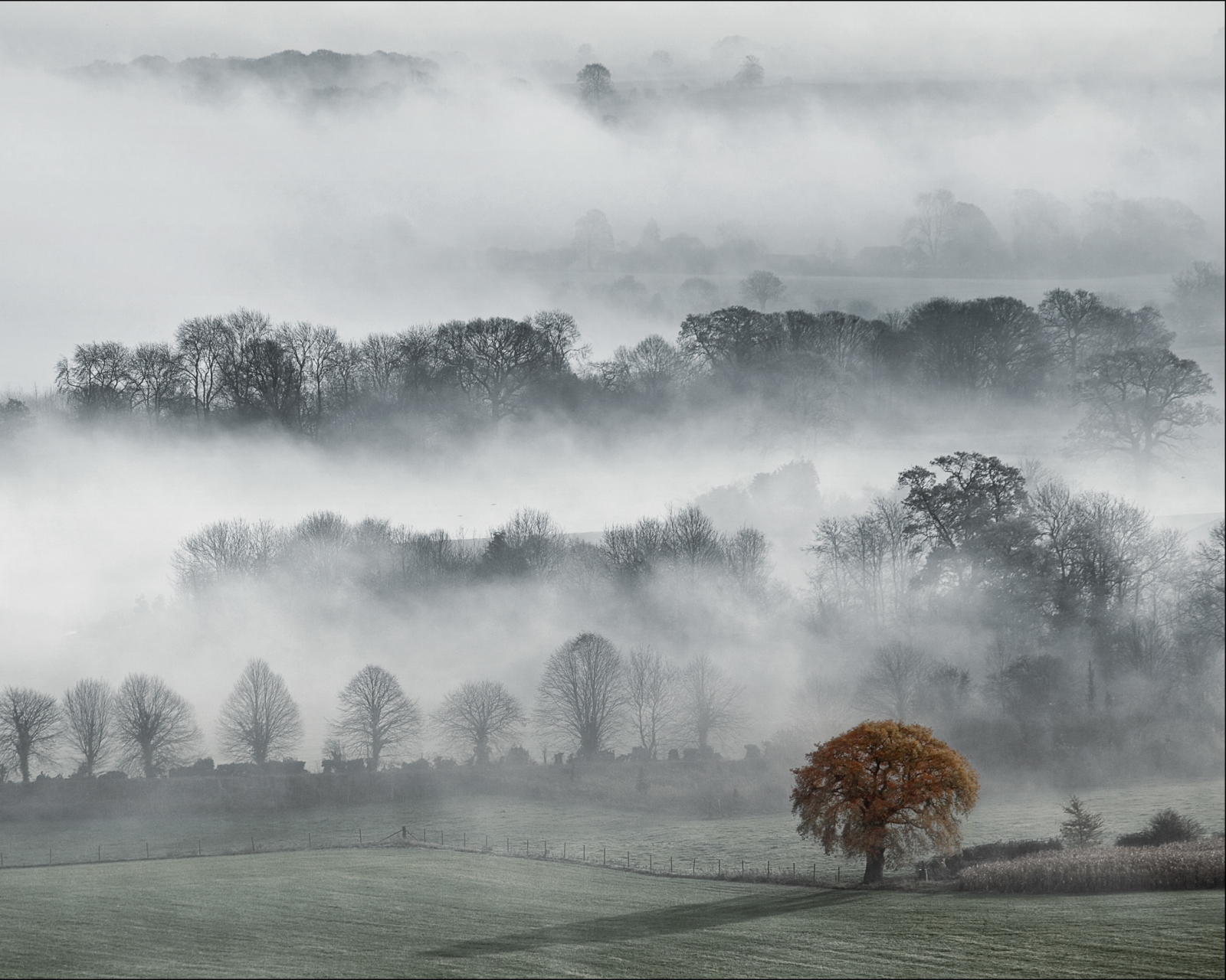 Sfondi Fog In England 1600x1280