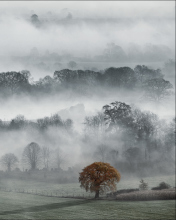 Sfondi Fog In England 176x220