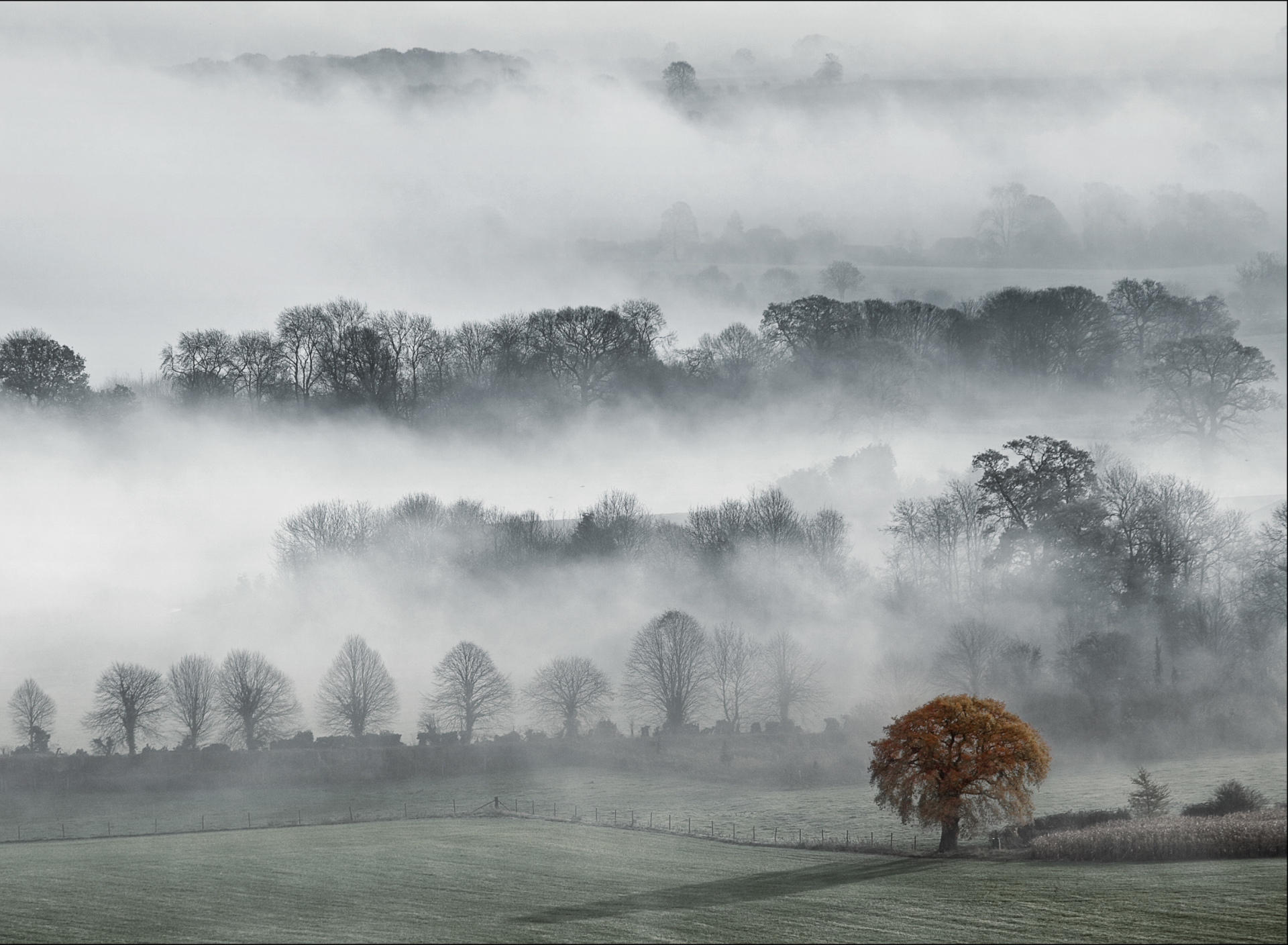 Sfondi Fog In England 1920x1408