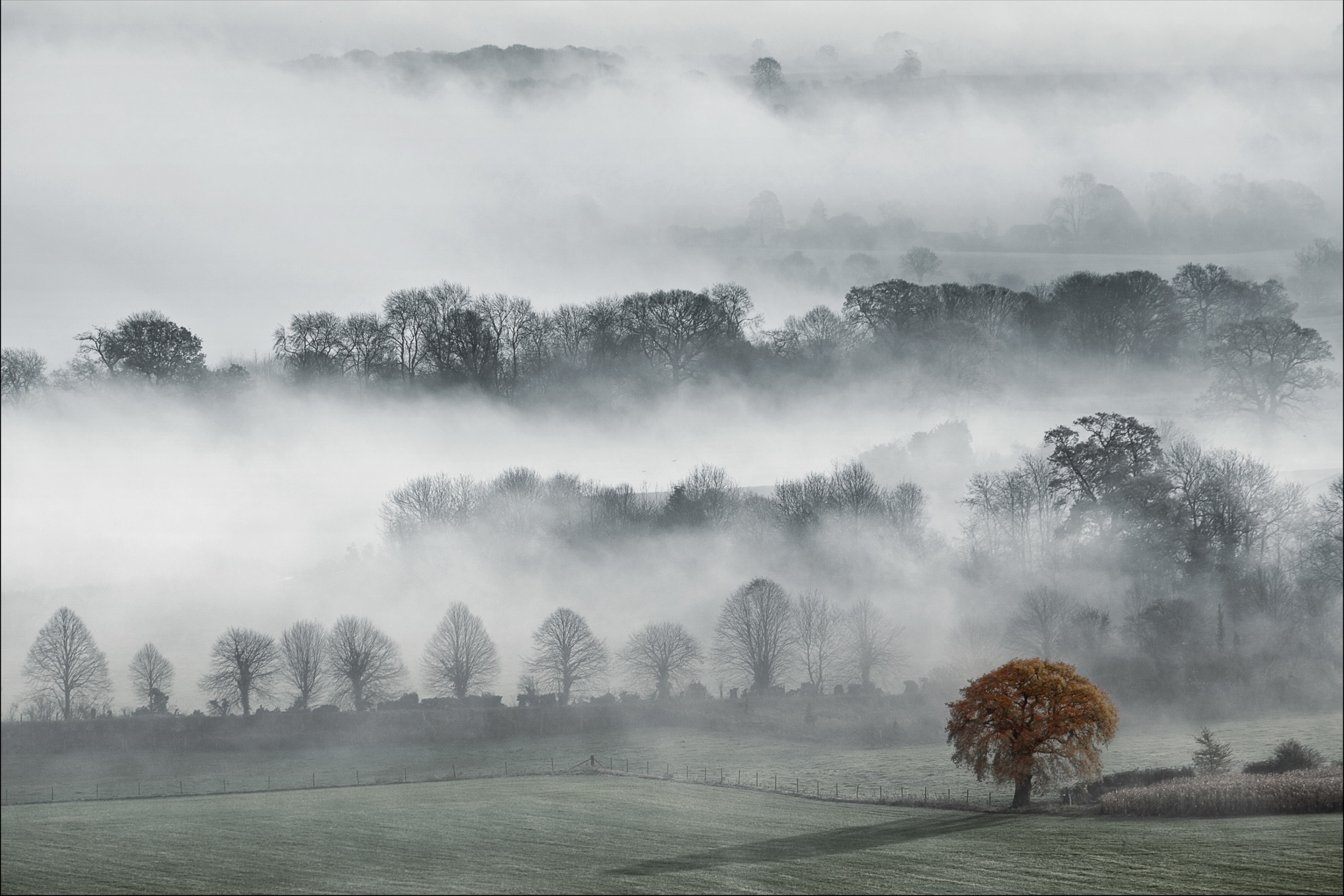 Fog In England wallpaper 2880x1920