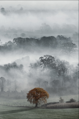 Fondo de pantalla Fog In England 320x480