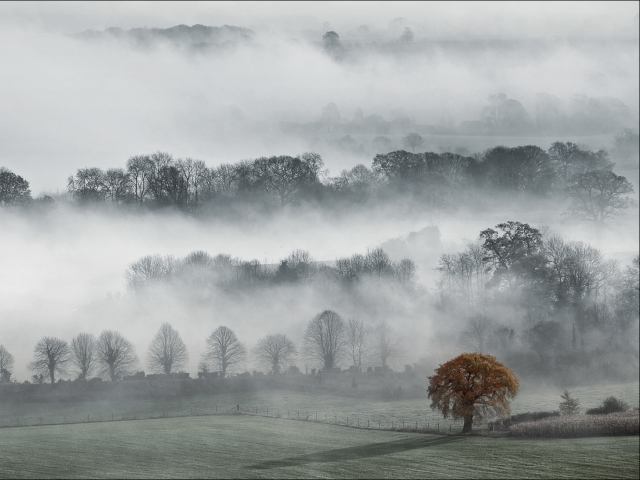 Fondo de pantalla Fog In England 640x480