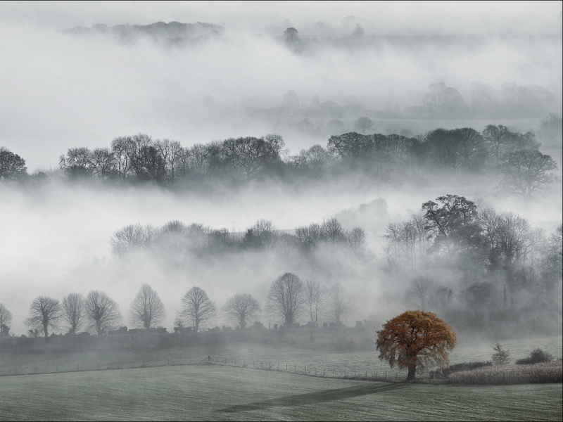 Fog In England screenshot #1 800x600