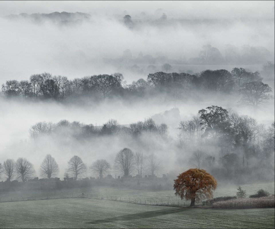 Обои Fog In England 960x800