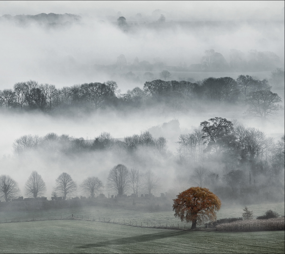 Обои Fog In England 960x854