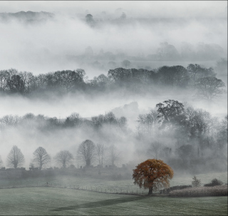 Fog In England - Obrázkek zdarma pro iPad 3