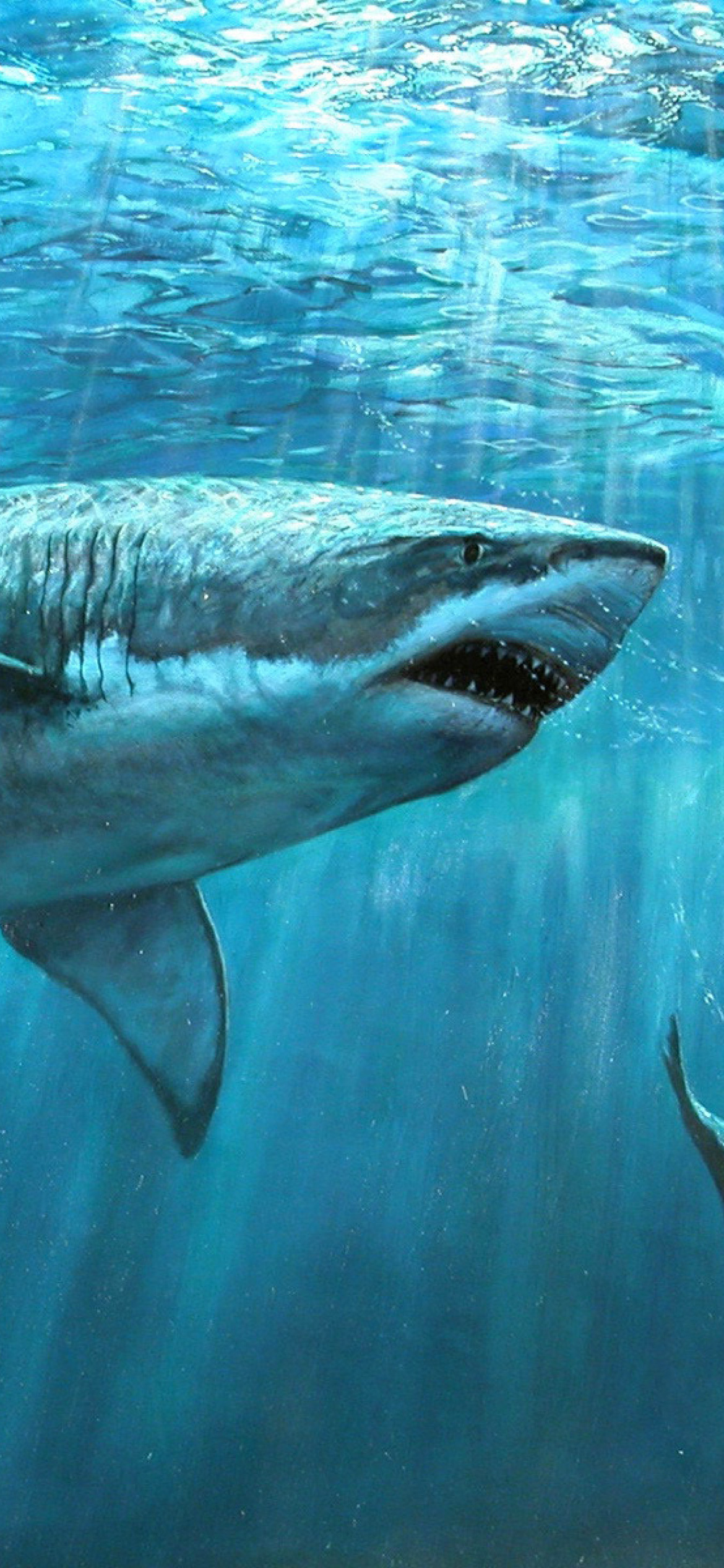 Shark Teeth wallpaper 1170x2532