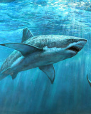 Обои Shark Teeth 128x160