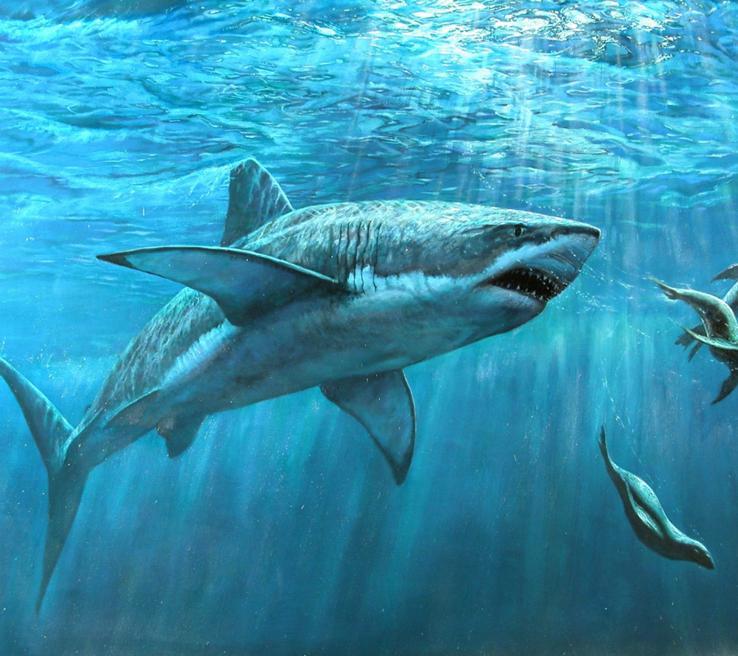 Das Shark Teeth Wallpaper 1440x1280