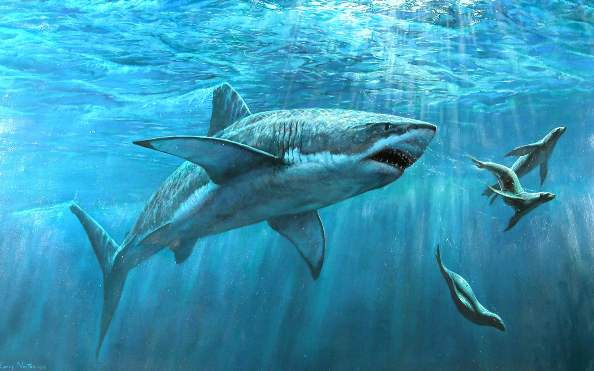 Das Shark Teeth Wallpaper 1920x1200