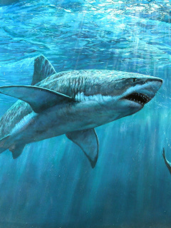 Fondo de pantalla Shark Teeth 240x320