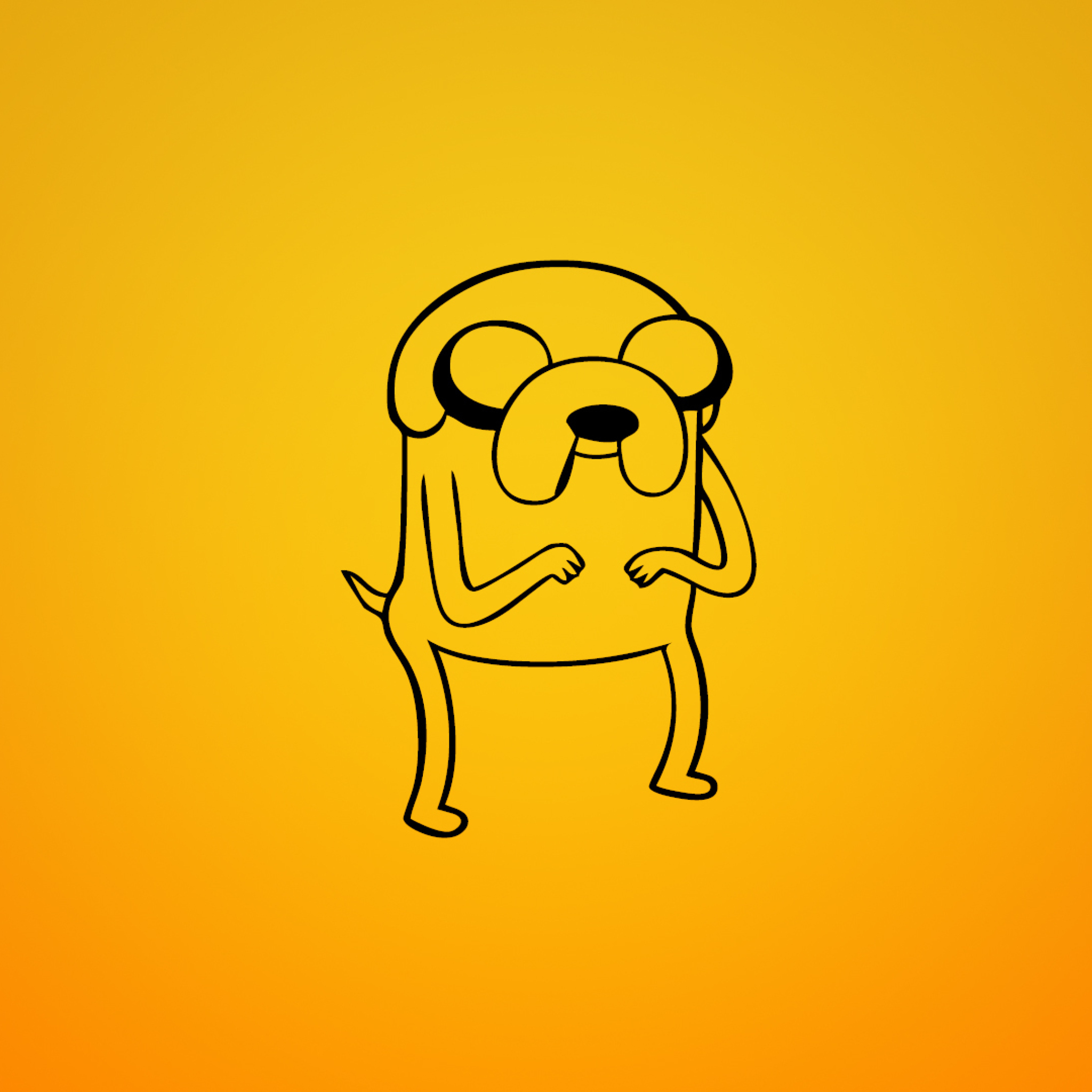 Обои Jake From Adventure Time Illustration 2048x2048