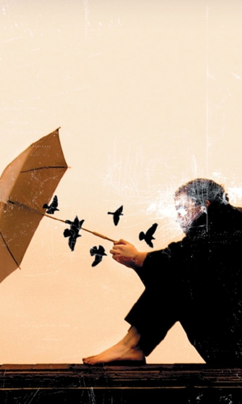 Birds And Umbrella wallpaper 480x800