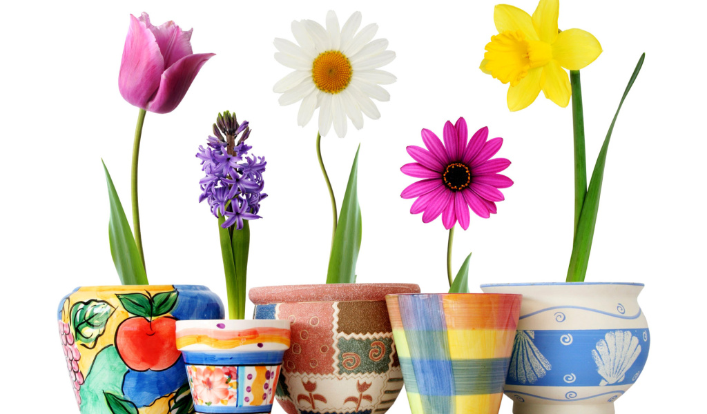 Das Bright flowers in pots Wallpaper 1024x600