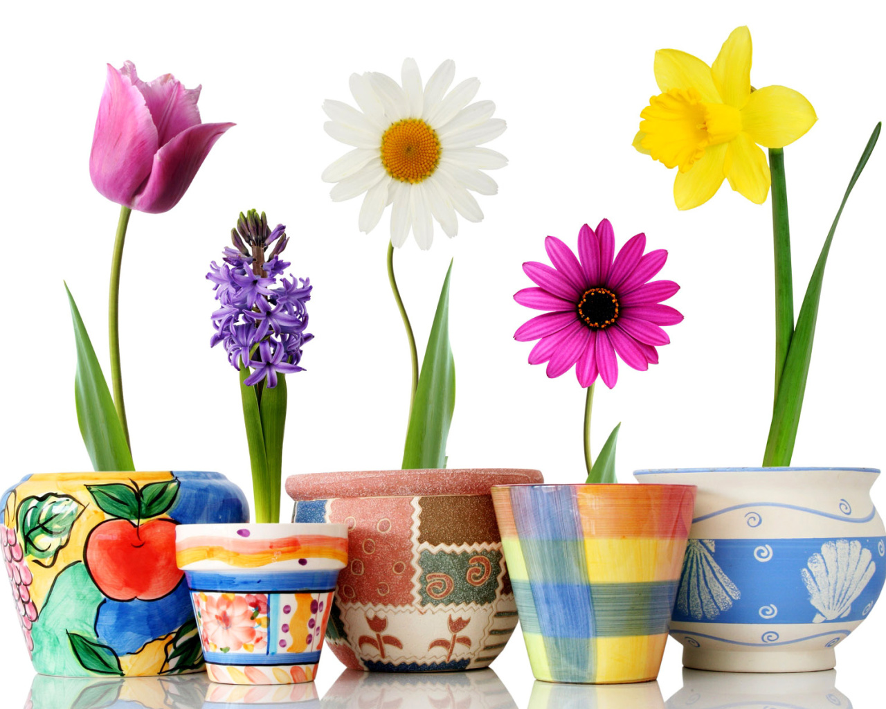 Fondo de pantalla Bright flowers in pots 1280x1024