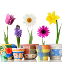 Fondo de pantalla Bright flowers in pots 128x128